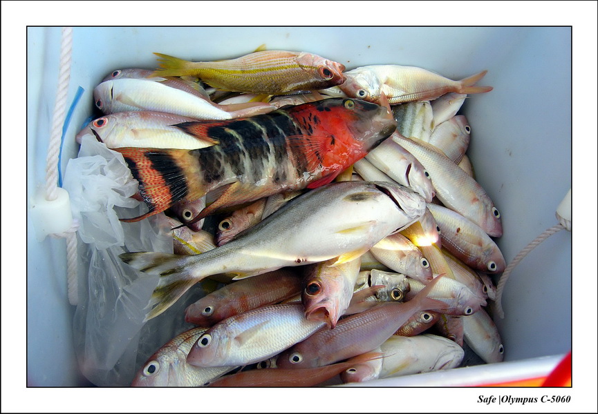 2005 - 08 - Perhentian  - 195.JPG